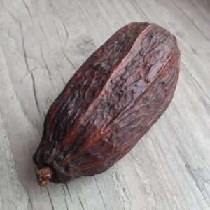 Cacao Côte d’ivoire